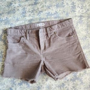 Carve Designs Oahu Shorts size 8